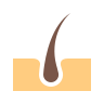 Dermatología